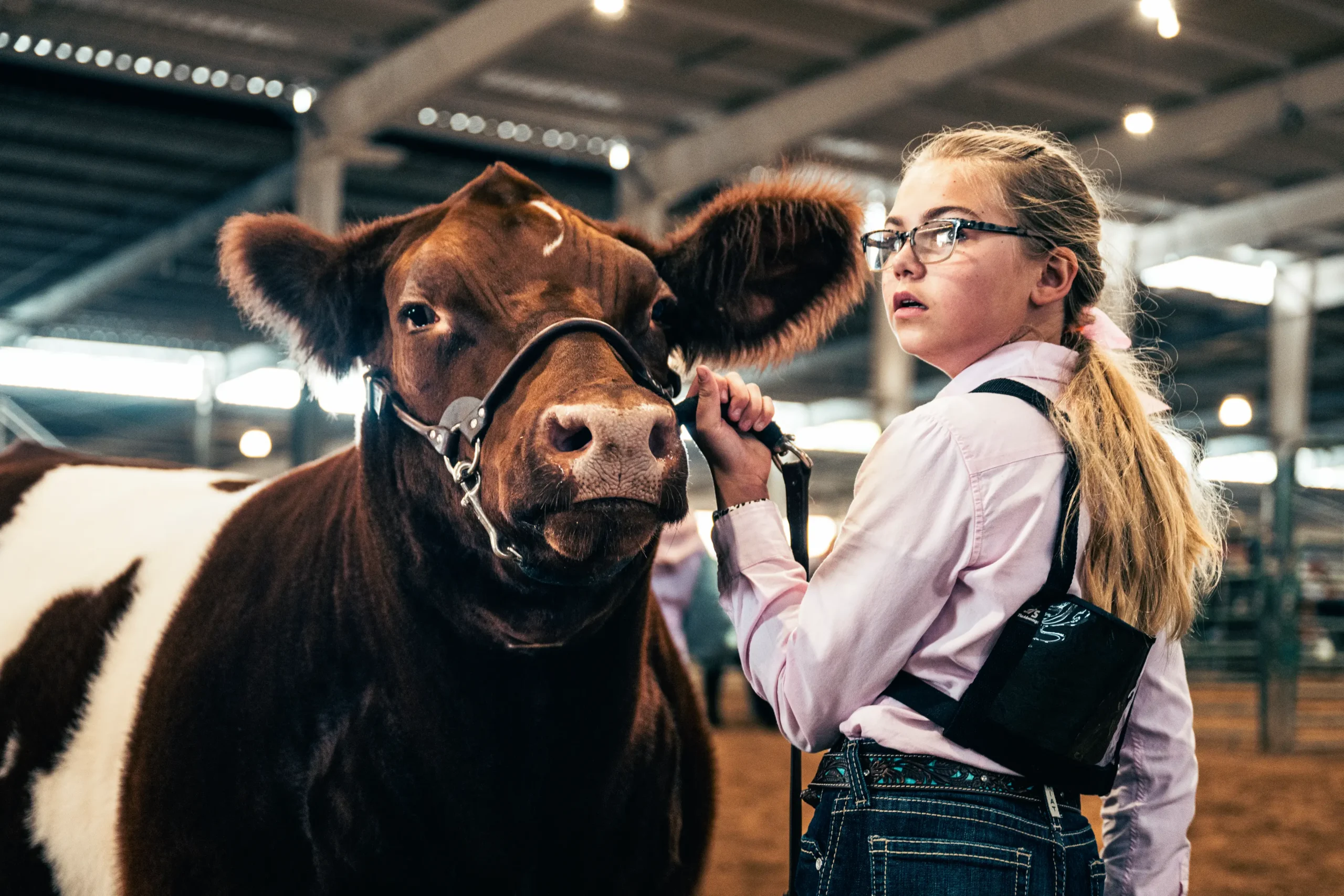 girl at fair with cow