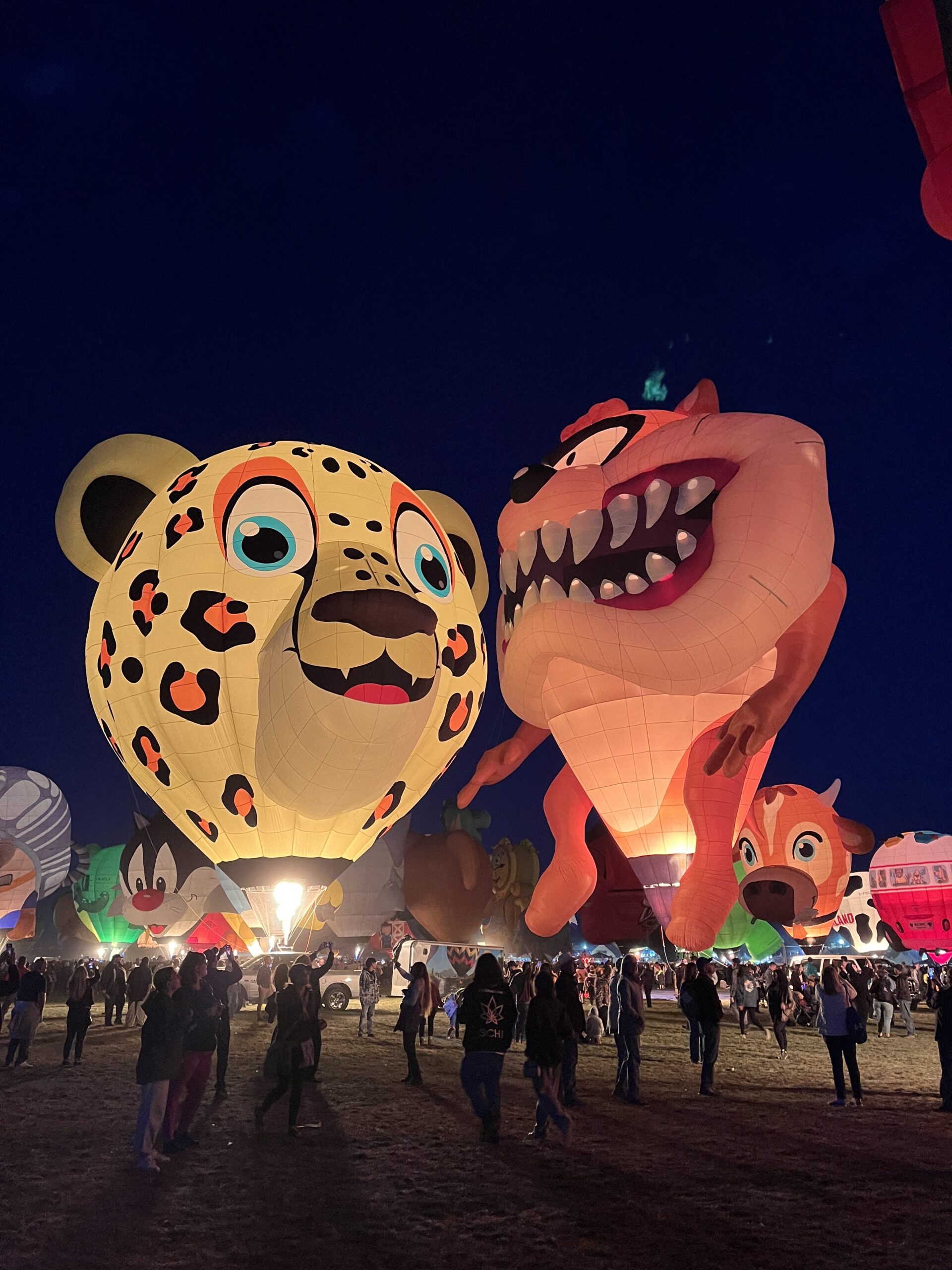 Balloon Fiesta Balloon Glow