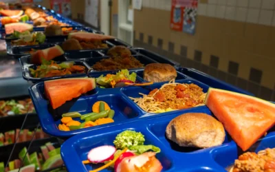 Universal Free School Meals