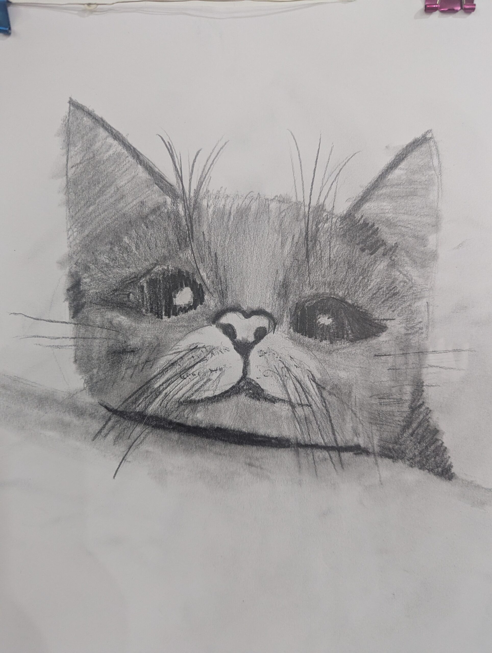 drawn picture of cat