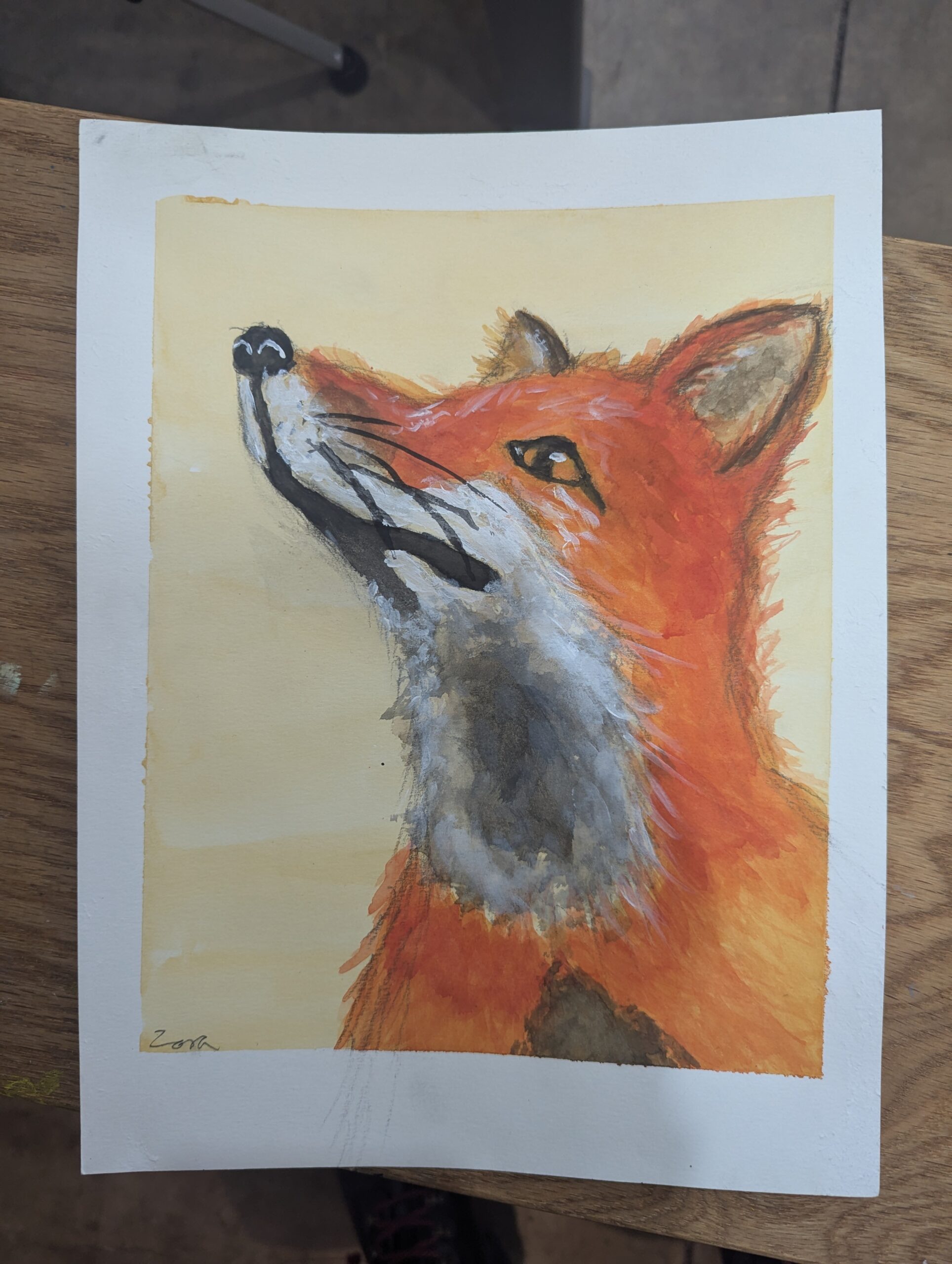 drawing of fox