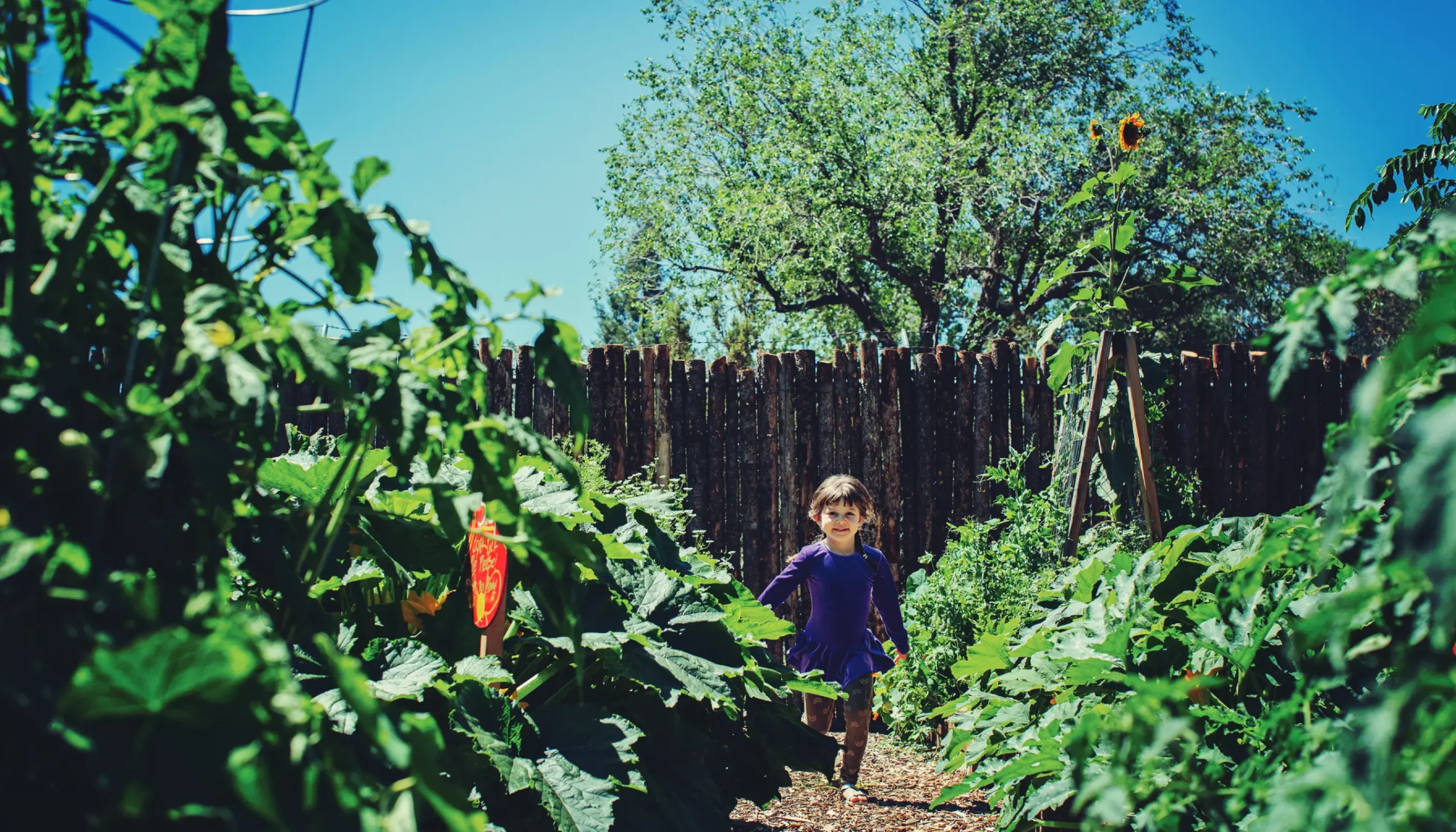 Running through the garden space, 2022.