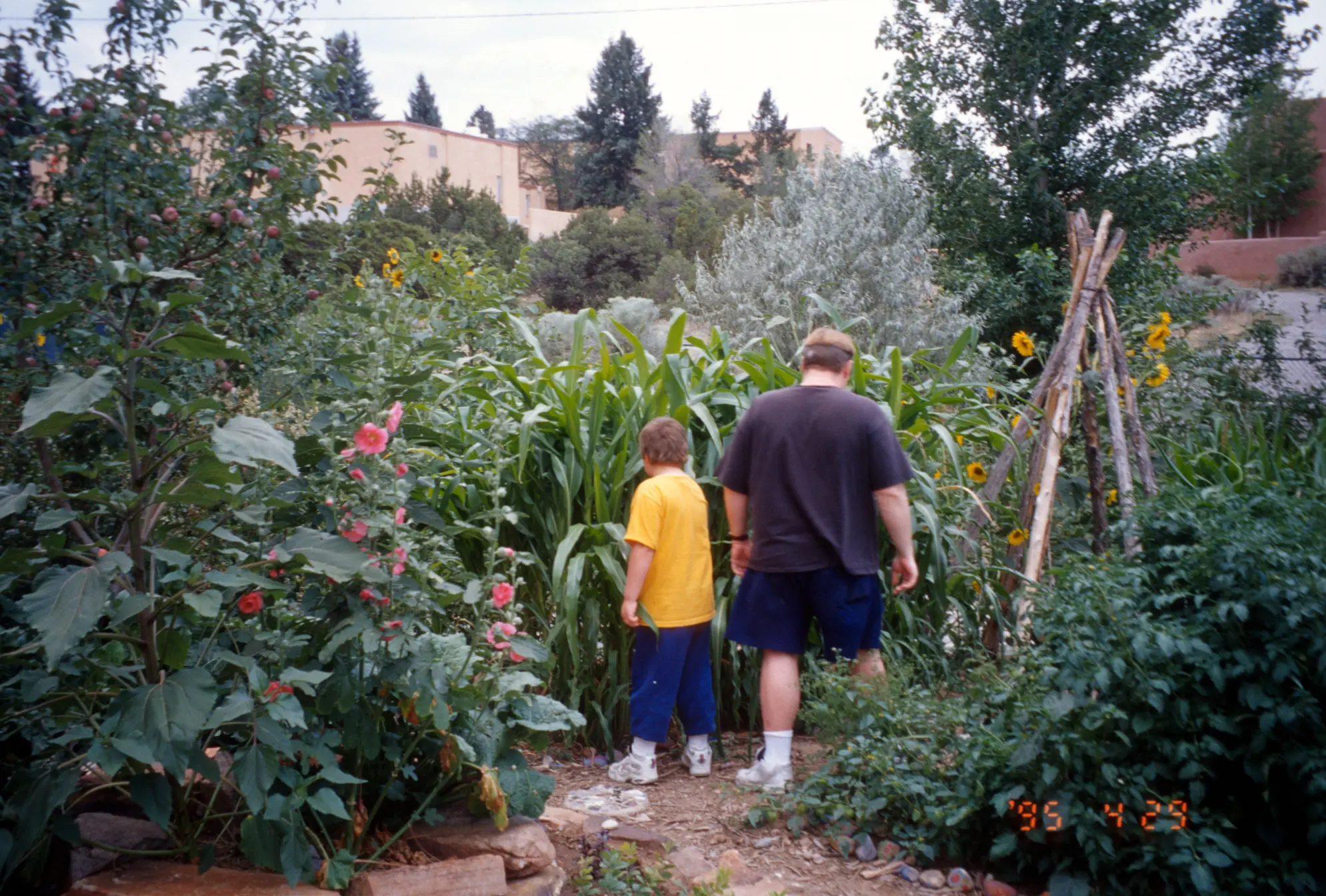 Wandering in the garden, 1990s.