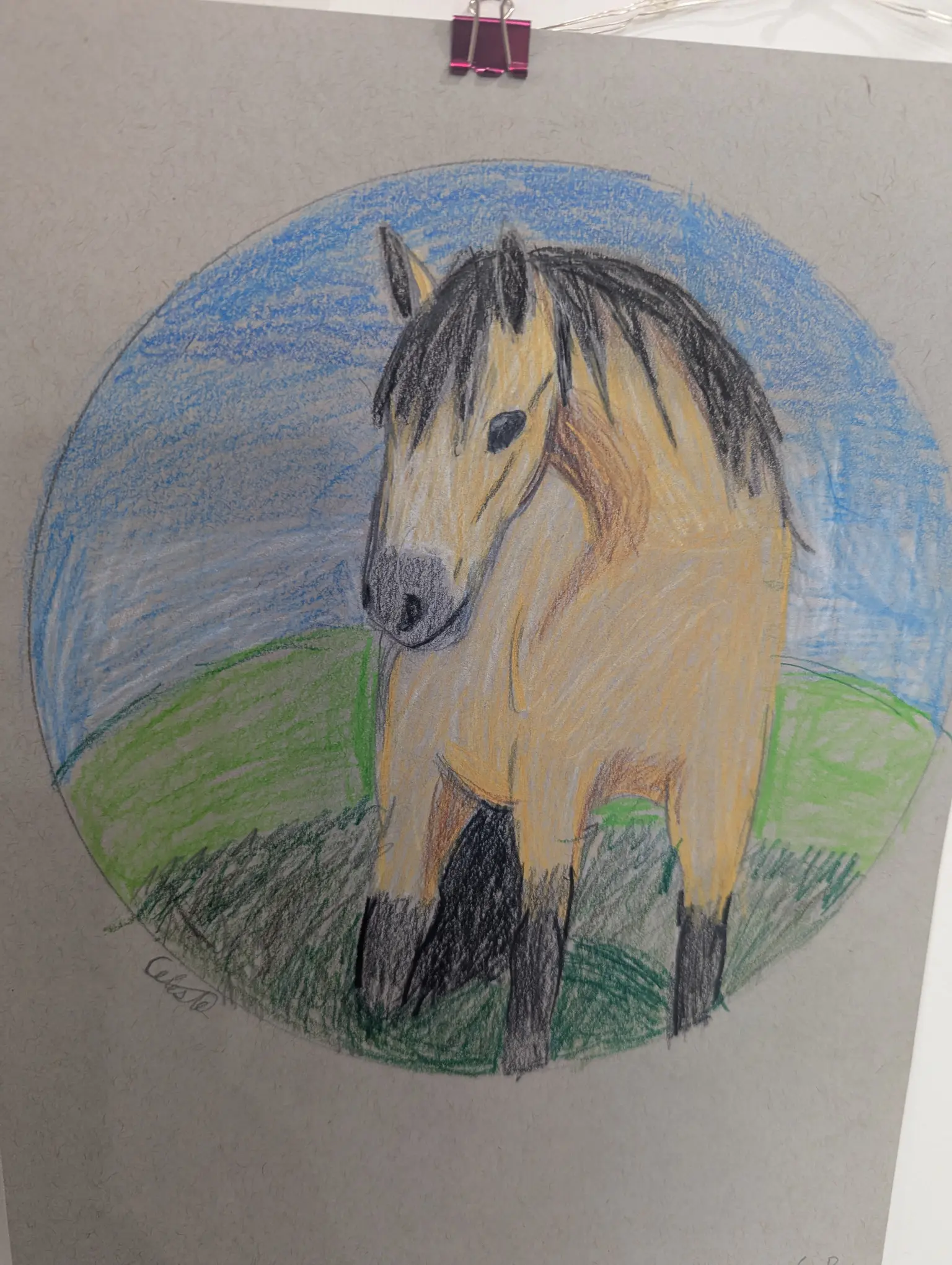 color pencil drawing of horse