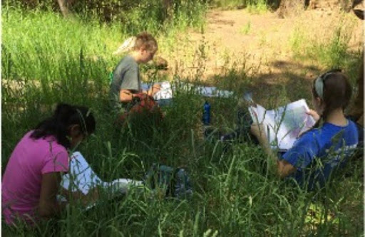 Taking Time to Document their Observations and Reflections